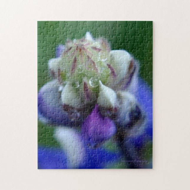 Puzzle Dew Dapplé Lupine (Vertical)