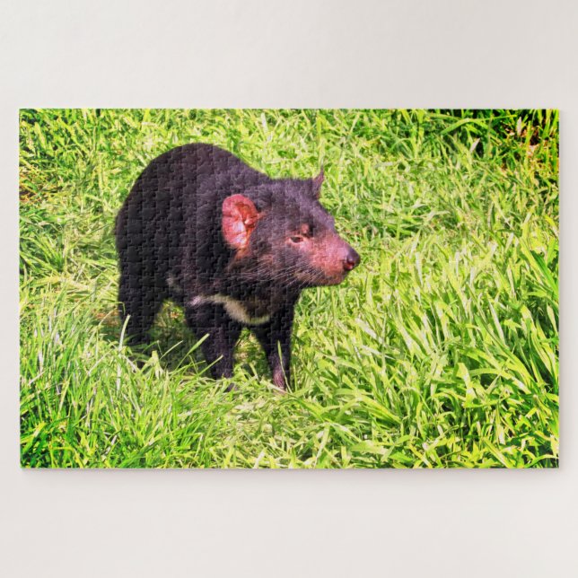 Puzzle diable de Tasmanie (Horizontal)