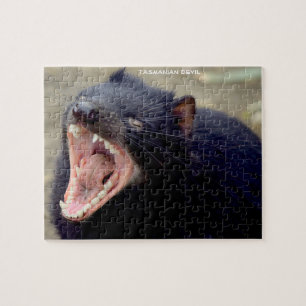 Puzzle Diable de Tasmanie Australie