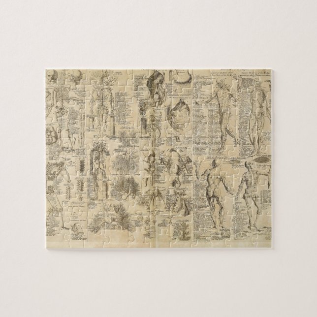 Puzzle Diagramme anatomique de Cyclopaedia 1728 (Horizontal)