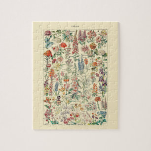 Puzzle Diagramme botanique du jardin Fleur sauvage Fleurs