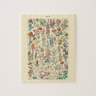 Puzzle Diagramme botanique du jardin Fleur sauvage Fleurs