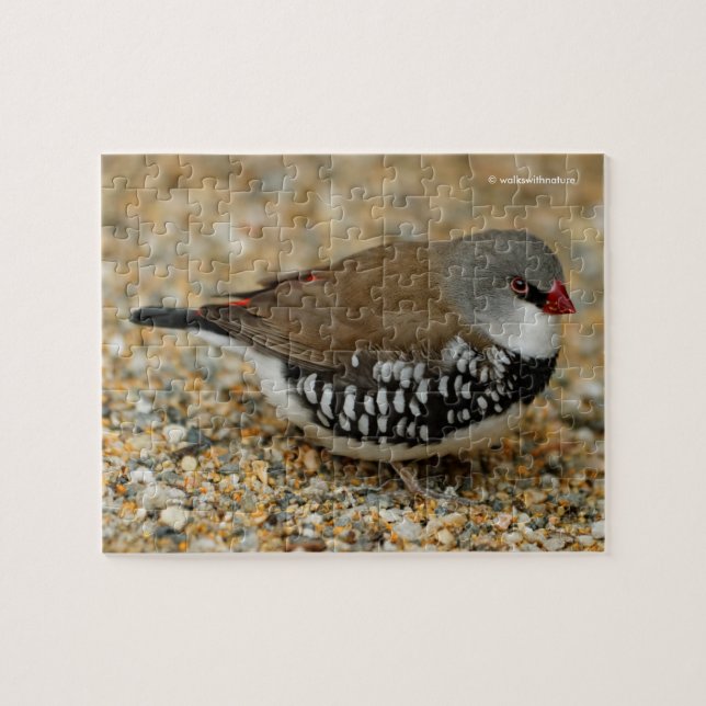 Puzzle Diamond Fivente Finch (Horizontal)