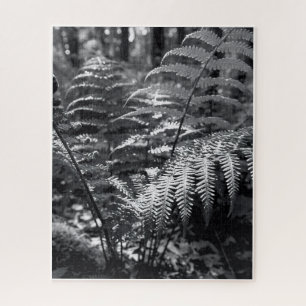 Puzzle Difficile photographie de la nature monochrome