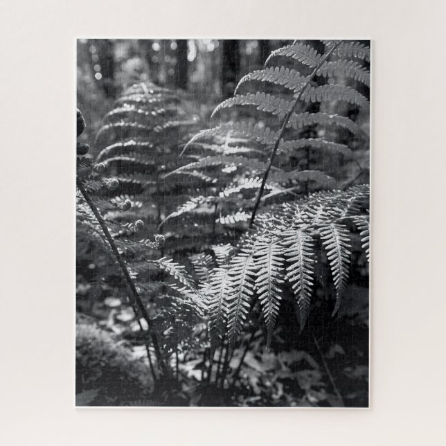 Puzzle Difficile photographie de la nature monochrome (Vertical)