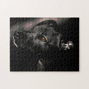 Puzzle Difficile Presque tous les Black Sweet Chien Puzzl