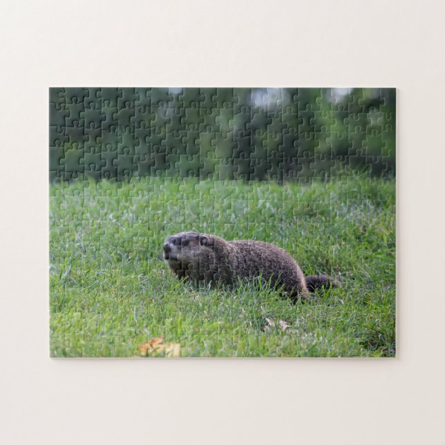 Puzzle Digger de trou du diable (Horizontal)