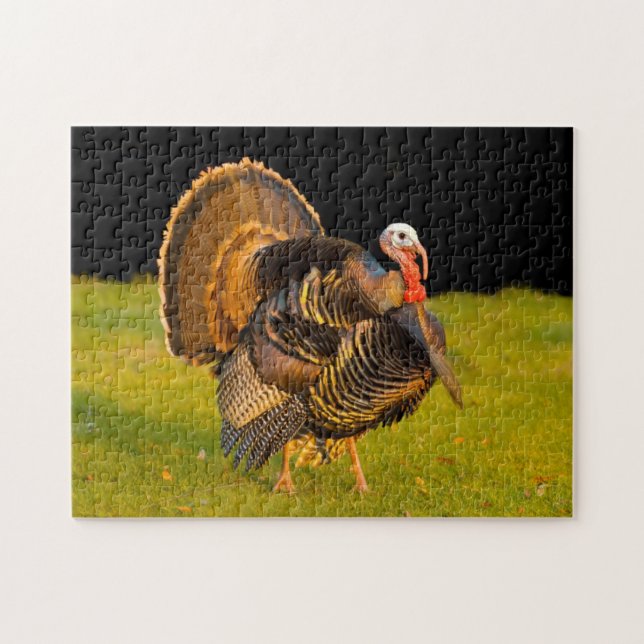 Puzzle Dinde de Thanksgiving (Horizontal)