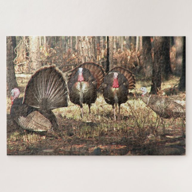 Puzzle Dindon sauvage dans l'oiseau des bois (Horizontal)