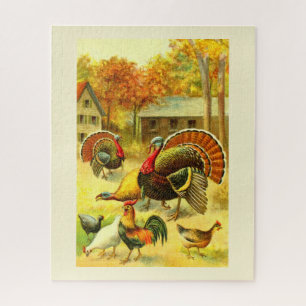 Puzzle Dindons et poulets