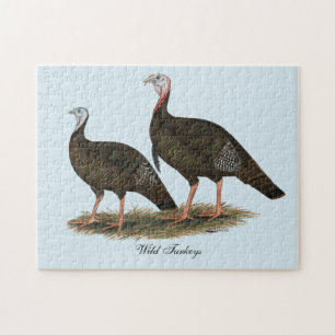 Puzzle Dindons sauvages de l'est en couple