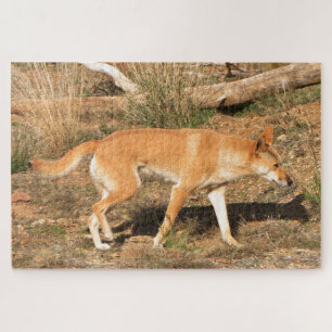 Puzzle Dingo australien