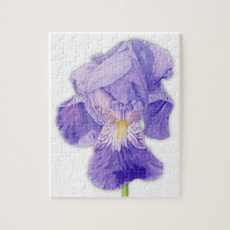 Puzzle d'Iris pourpre