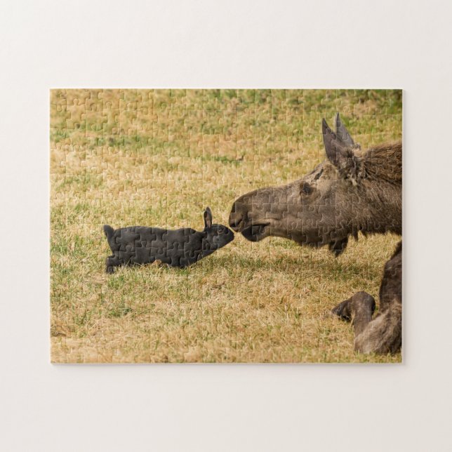 Puzzle Diversité (Horizontal)