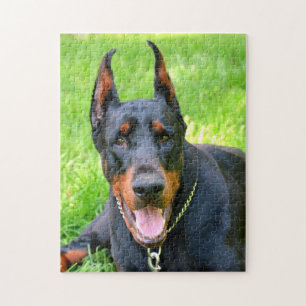 Puzzle Doberman pinscher