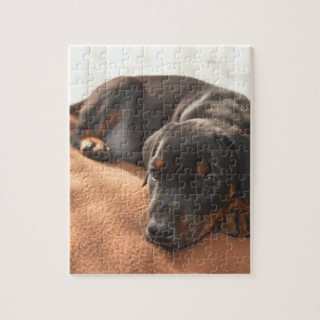 Puzzle doberman-pinscher-chiot (Vertical)
