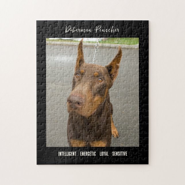 Puzzle Doberman Pinscher Photo Chien de race Jigsaw Puzzl (Vertical)