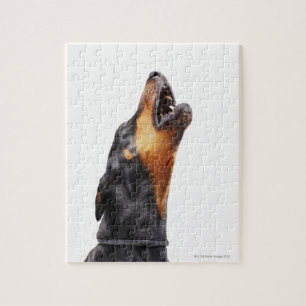 Puzzle Dobermann hurlant