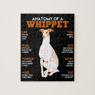 Puzzle Dog   anatomy of a whippet dogs t funny vend