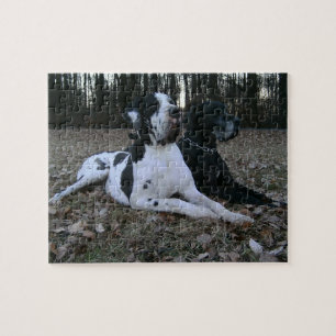 Puzzle Dogge allemand, Great Dane, chiens, Dogue Allemand