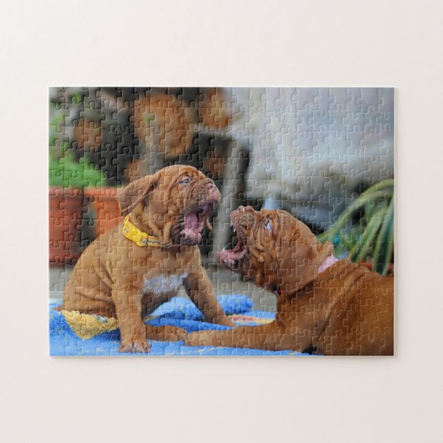 Puzzle Dogue de Bordeaux puppies playing (Horizontal)