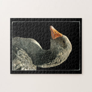 Puzzle d'oie - "Lucy"