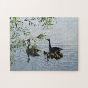 Puzzle d'oies sauvages