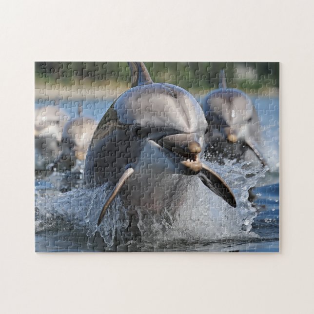Puzzle Dolphin Game (Horizontal)