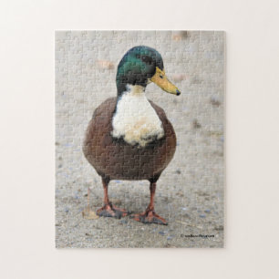 Puzzle Domicile Mallard Duclair Bibbed Odd Duck