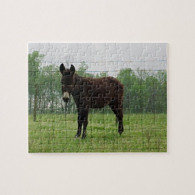 Puzzle Donkey Jigsaw (Horizontal)