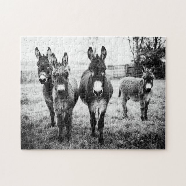 Puzzle Donkeys (Horizontal)