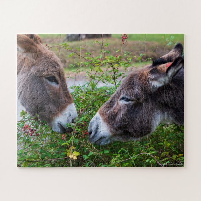 Puzzle Donkeys, kids, 56 pieces, (Horizontal)