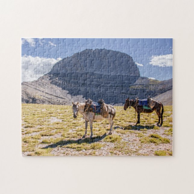 Puzzle Donkeys sur le mont Olympus, Grèce (Horizontal)
