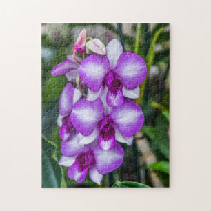Puzzle d'orchidées blanches et violettes