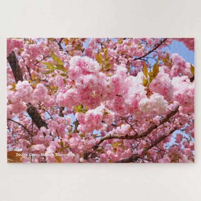 Puzzle Double Cherry Blossom: Sato-zakura (Horizontal)