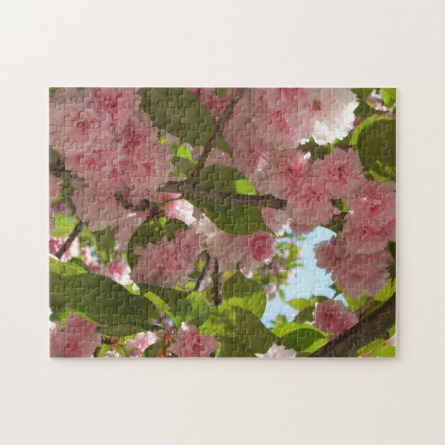Puzzle Double floraison cerisier III printemps fleuri (Horizontal)