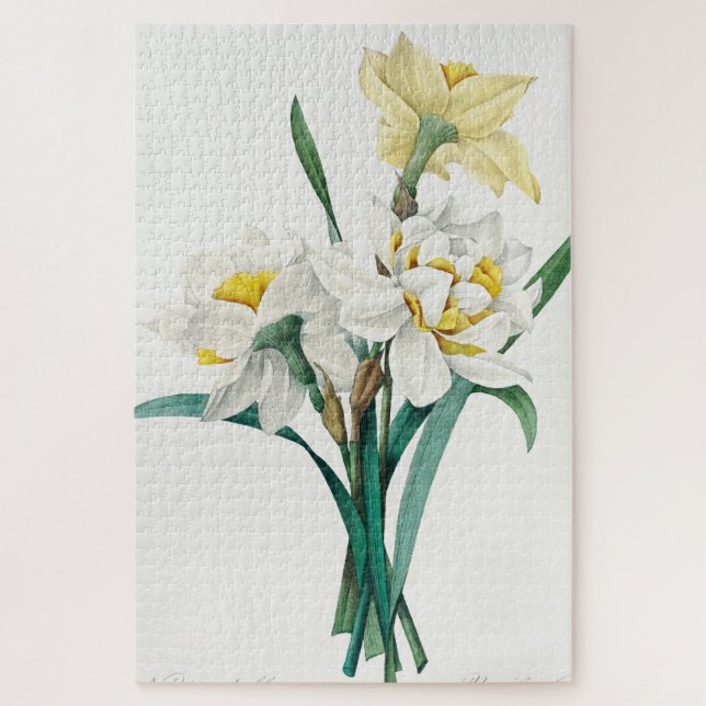 Puzzle Double Narcisse,  Pierre-Joseph Redouté, 1827 (Vertical)