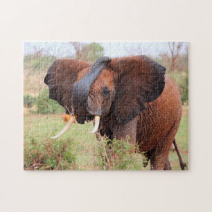 Puzzle Douces Bêtes des Plaines.Éléphants