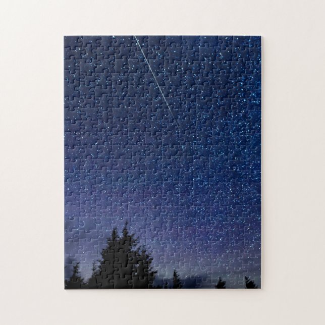 Puzzle Douche Perseid Meteor (Vertical)