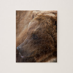 Puzzle d'ours gris