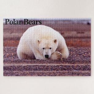 Puzzle d'ours polaire au repos