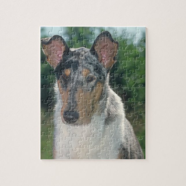 Puzzle doux de chien de Merle de colley (Vertical)