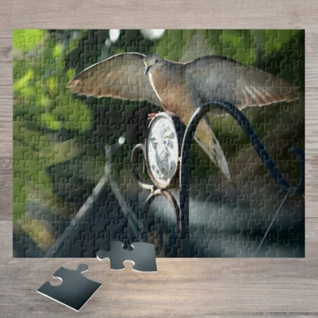 Puzzle Dove Wings Spread Birdfeeder Photographie Oiseau (Créateur téléchargé)