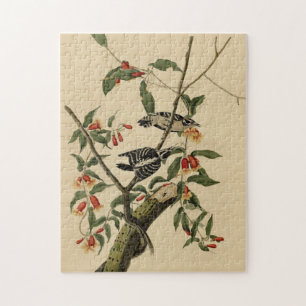 Puzzle Downy Woodpecker - de Audubon's Birds of America