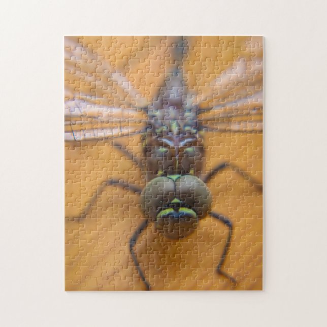 Puzzle dragon (Vertical)