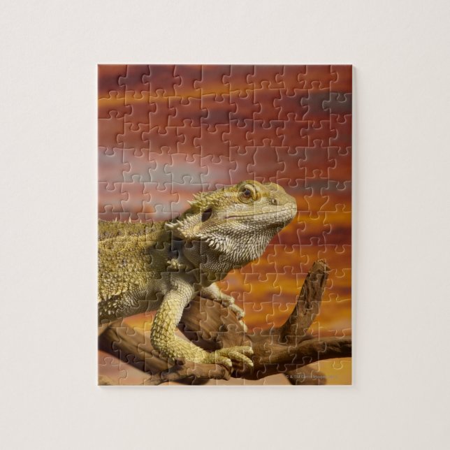 Puzzle Dragon à épaulettes (Pogona Vitticeps) sur branche (Vertical)