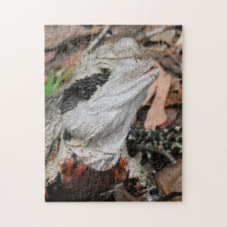 Puzzle Dragon d'eau oriental