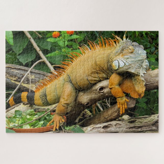 Puzzle Dragon lizard sleeping along a long tree branch (Horizontal)