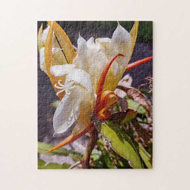 PUZZLE DRAGON POLYNISIEN CACTUS BLOC DE NUIT (Vertical)