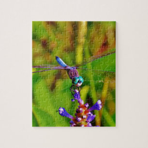Puzzle Dragonfly